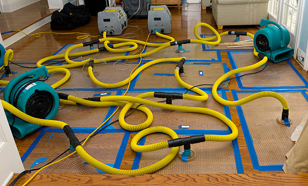 Professional Water Extraction technician working in Port Washington, NY